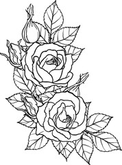 Arthur Bell rose  png.Beautiful flower on transparent background.