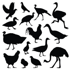 Big set vector illustration of farm animal bird silhouette isolated in white transparent background. Black and white character. 