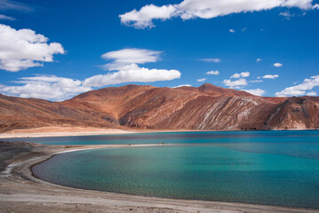 beautiful curve beach landscape of Pangong tso, Leh Ladakh, India