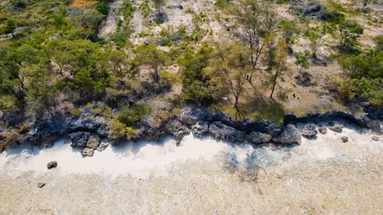 Papier Peint photo Plage de Nungwi, Tanzanie Aerial drone photography captures the breathtaking beauty of Zanzibar's crystal clear waters and white sandy beaches in Nungwi.