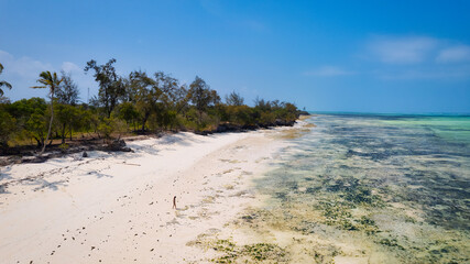 Zanzibar's beaches are a true gem of the Indian Ocean, offering a unique blend of natural beauty,...