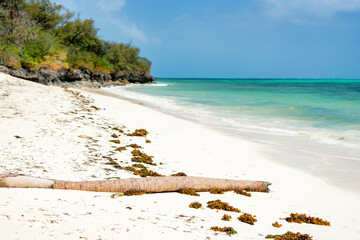 A vacation to Zanzibar's beaches offers the perfect blend of adventure and relaxation, with...