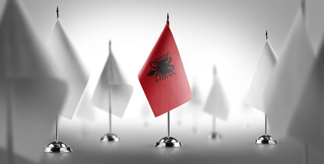 The national flag of the Albania surrounded by white flags