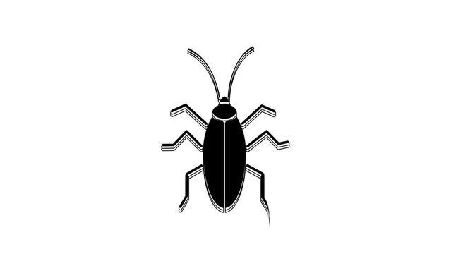 Black Cockroach icon isolated on white background. 4K Video motion graphic animation