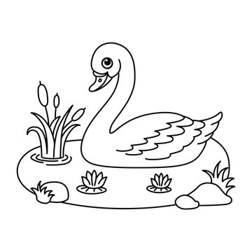 Cute swan cartoon characters vector illustration. For kids coloring book.