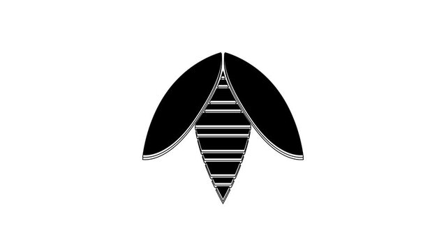 Black Bee icon isolated on white background. Sweet natural food. Honeybee or apis with wings symbol. Flying insect. 4K Video motion graphic animation