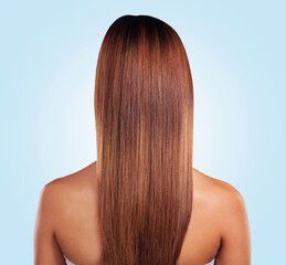 Naklejka premium Back, hair care and beauty of black woman in studio isolated on a blue background. Hairstyle, keratin cosmetics and aesthetics of female model with salon treatment for growth, texture and balayage.