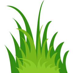 Grass Illustration
