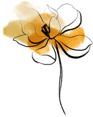 Watercolor magnolia sketch, linear botanical drawing, flower clipart © Natalia