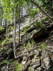 trees growing on the stone slopes of the mountains