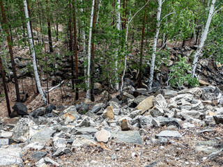 trees growing on the stone slopes of the mountains