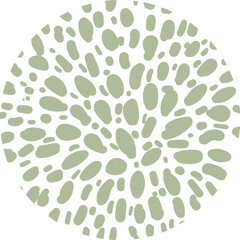 Abstract pattern circle shape, circular theme, wave, Line, Vector illustration.