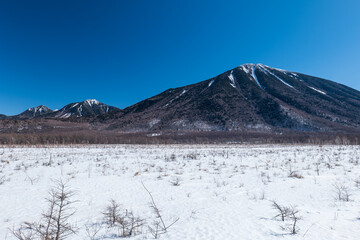 Fototapeta na wymiar 雪景色の奥日光戦場ヶ原の風景。2月。　日光市、栃木県、日本