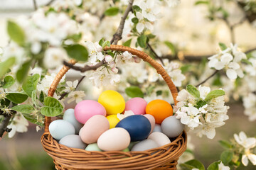 Happy Easter. Basket with Easter eggs in grass on a sunny spring day - Easter decoration, banner, panorama, background with copy space for text