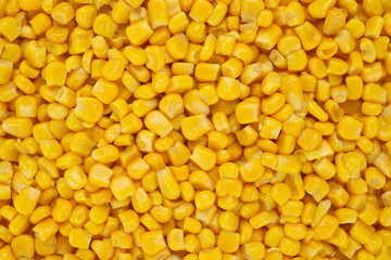 Yellow Canned corn top view