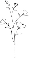 Graceful, delicate, thin, isolated twig with blooming flowers in black and white. Drawn by hand. For postcard, invitation, holiday, decoration and as a design element.
