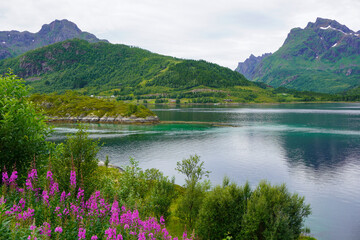 Fototapeta na wymiar Fjord en Norvège, montagne et océan
