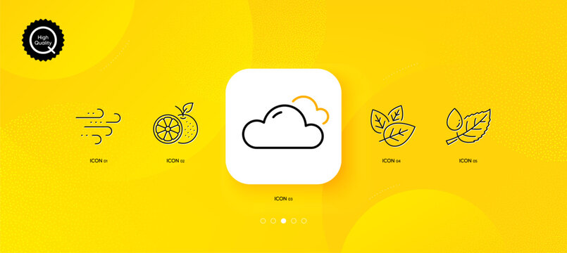 Orange, Leaf dew and Organic tested minimal line icons. Yellow abstract background. Windy weather, Cloudy weather icons. For web, application, printing. Vector