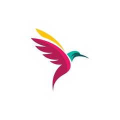 Colibri bird logo images
