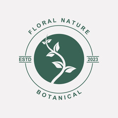 botanical logo illustration for beauty natural organic brand