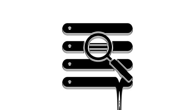 Black Search in a browser window icon isolated on white background. 4K Video motion graphic animation