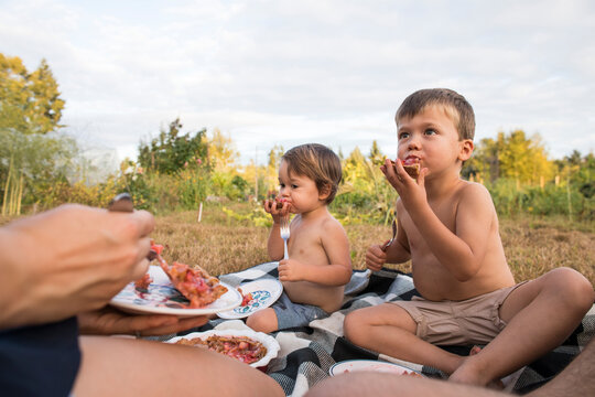 Two boys feasting on homemade pie during family picnic, Langley, British Columbia, Canada