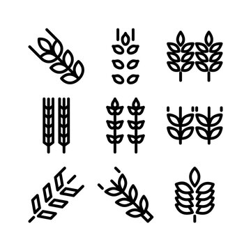 wheat icon or logo isolated sign symbol vector illustration - high quality black style vector icons
