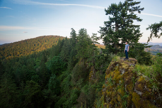 Thurston Hills Natural Area Hiking in Oregon