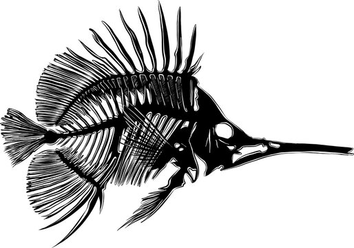 recommend clip art: PNG engraved style illustration for posters, decoration and print. Hand drawn sketch of fish bones in monochrome isolated on white background. Detailed vintage woodcut style drawing.	
                    