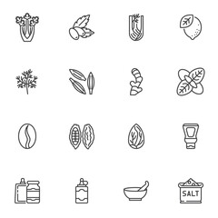 Condiment and spices line icons set