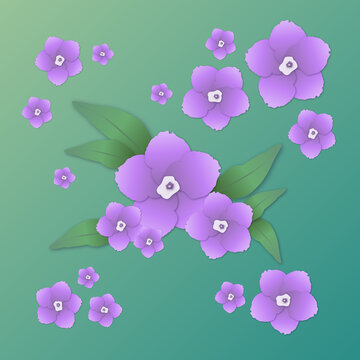 Purple flowers / Brunfelsia uniflora