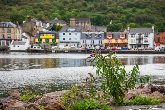 The town of Tarbert on Loch Fyne - Scotland 