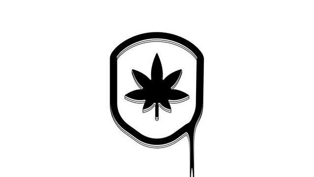 Black Shield and marijuana or cannabis leaf icon isolated on white background. Marijuana legalization. Hemp symbol. 4K Video motion graphic animation
