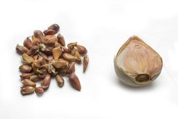 air bulbs garlic seeds planting material for growing garlic large cloves