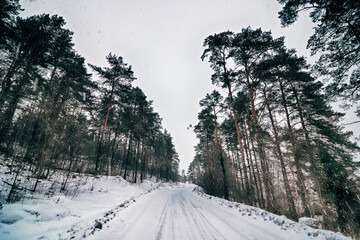 Processed with VSCO with e2 preset