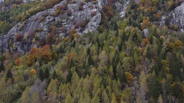 wood on the Alps by drone Val di Mello