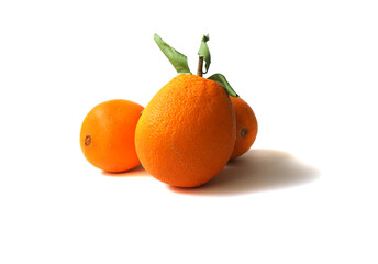 Leafy oranges on a white