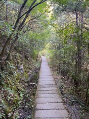 Mountain Olympus Greece Pathway Landscape