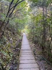 Obraz premium Mountain Olympus Greece Pathway Landscape