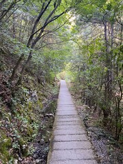 Mountain Olympus Greece Pathway Landscape