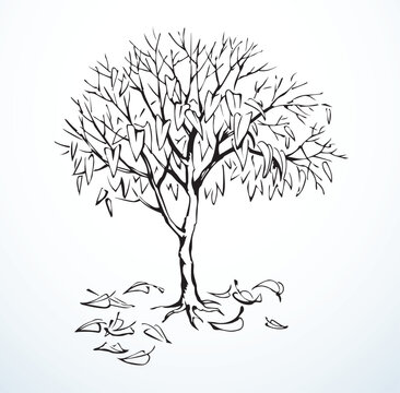 black and white tree with fallen leaves clip art preview