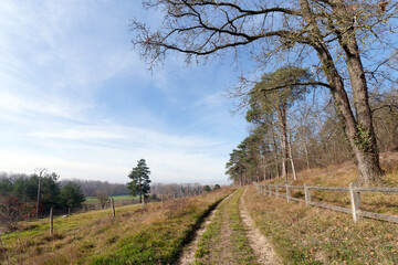 Hill of the Flagy village in Seine et Marne country
