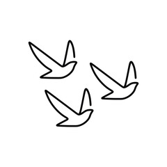 group of birds in flight