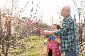 Senior grandfather and granddaughter gardening in the backyard garden.