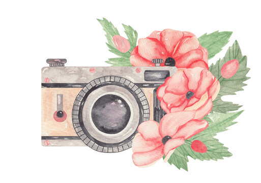 Watercolor illustration camera and red flowers 