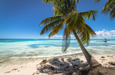 Obraz na płótnie Canvas Boat and tropical beach in caribbean sea, Saona island, Dominican Republic