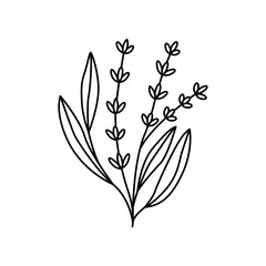 Hand drawn sketch flower isolated on white background. Simple doodle style.