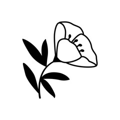 Hand drawn sketch flower isolated on white background. Simple doodle style.