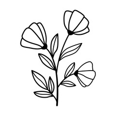 Hand drawn sketch flower isolated on white background. Simple doodle style.