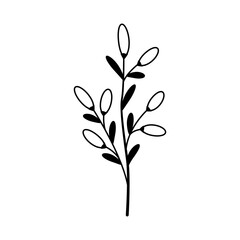 Hand drawn sketch flower isolated on white background. Simple doodle style.